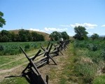 "Oregon Trail by glennwilliamspdx @ flickr"