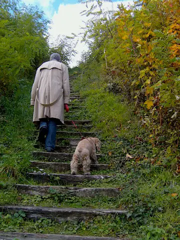 A Day Hike In Paris in St Germain-En-Laye