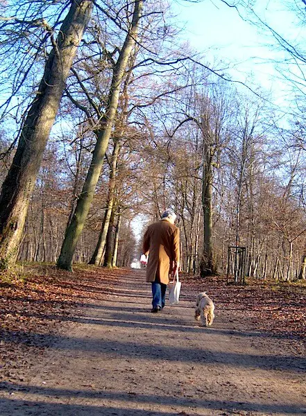 A Hiking Trail in Chantilly