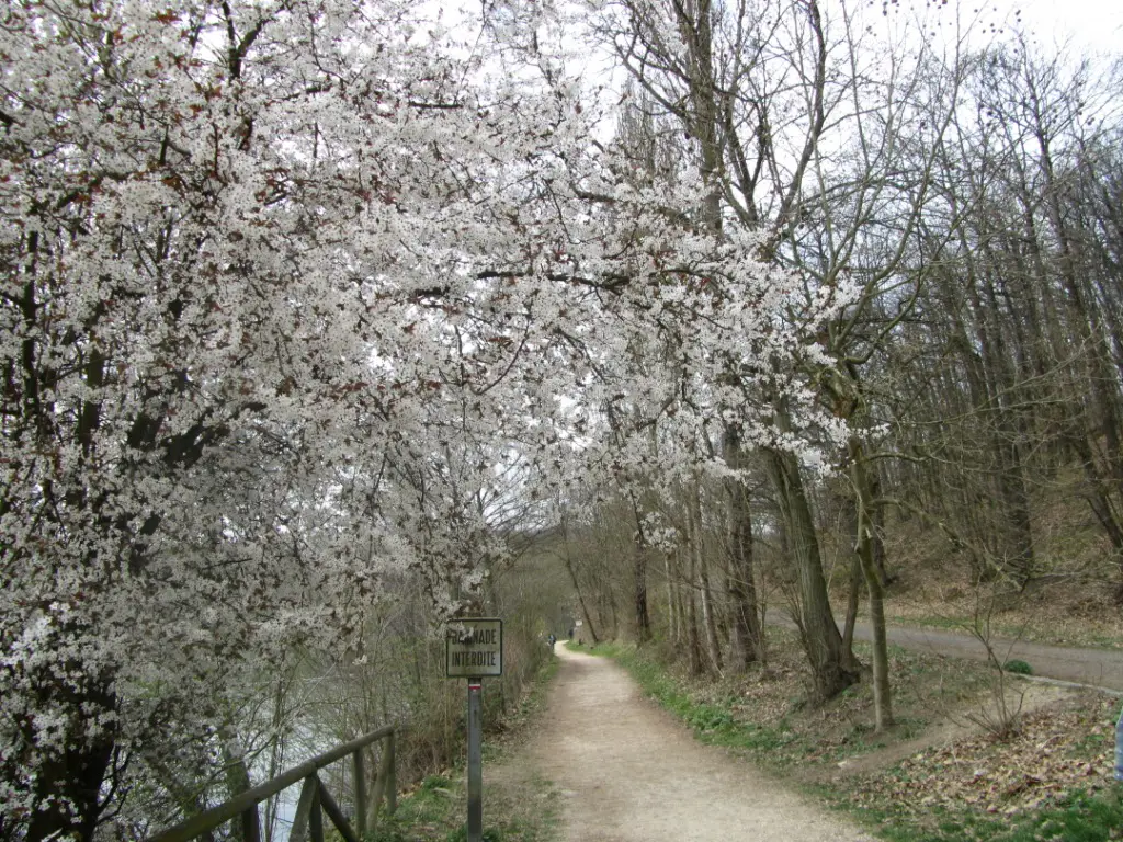 The Lakes Along the Hiking Trail in Versailles