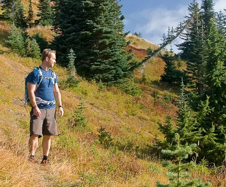 Easy Hiking In British Columbia