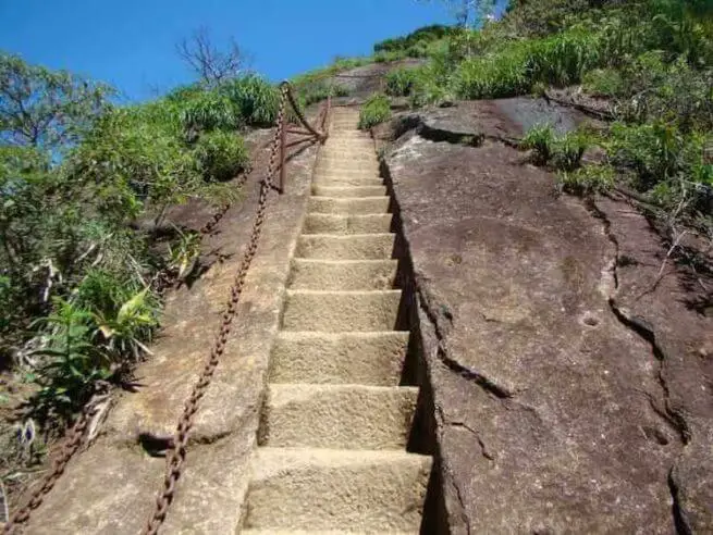 Have Rio De Janeiro At Your Feet At The Pico Da Tijuca