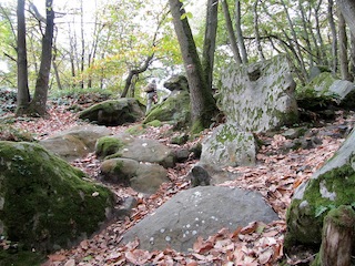 Hiking Rural France on a Day Trip from Paris