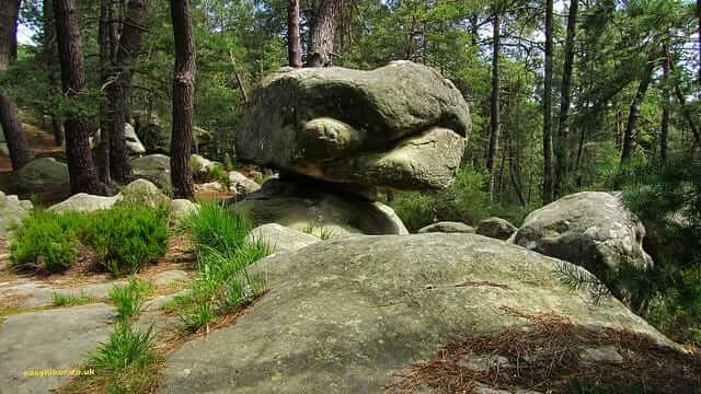 The Rocks of Fontainebleau