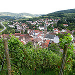 Our Best One-Day Hiking Trip in the Palatinate Forest