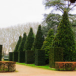 French Gardens