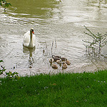 Walks near Paris: Riverside Nostalgia