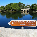 A Mallorcan Marshland