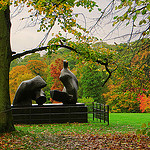 The Odd One Out Among London Parks