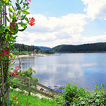 Black Forest for Beginners: Lake Titi