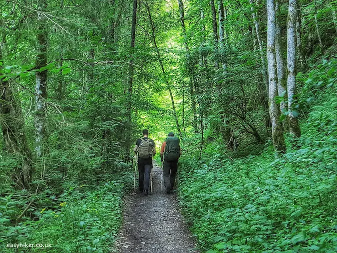 The Black Forest Westweg