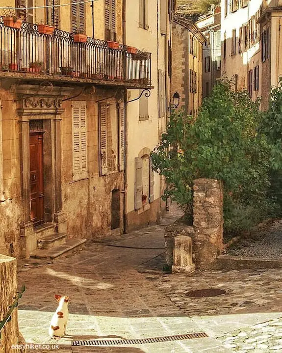 "old town of Entrevaux"