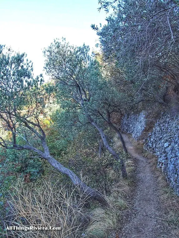 "route to San Lanzaro on a Wondrous Easy Hike in Noli Italy"