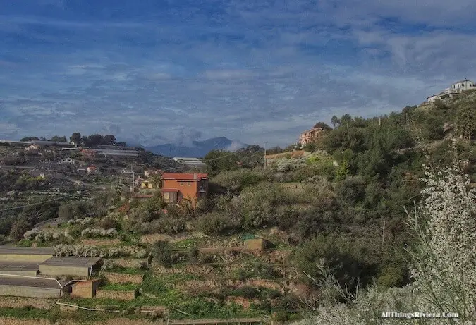 "a first look before Hiking the Steep Bordighera Hills"