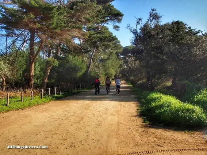 "bike trails when hiking or biking in Porquerolles"