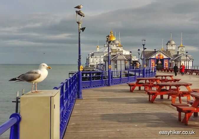 "eastbourne pier along the coastal culture trail"