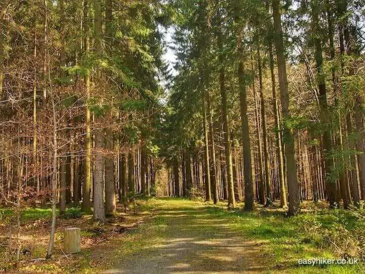 "Remembrance Hike"