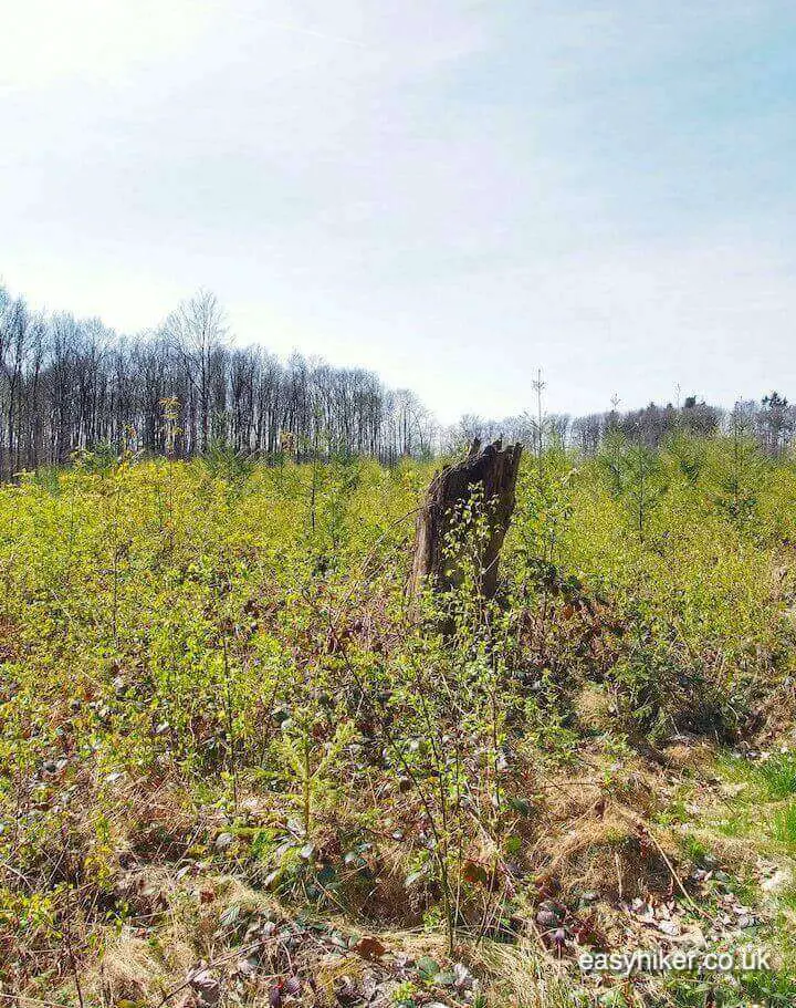 "on the Remembrance Hike on the Schumann's Eck Memorial Trail"