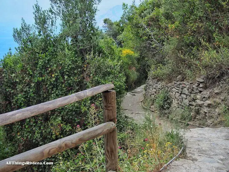 "trail VErnazza-Corniglia - Easy Hiking Experience and More in Cinque Terre"