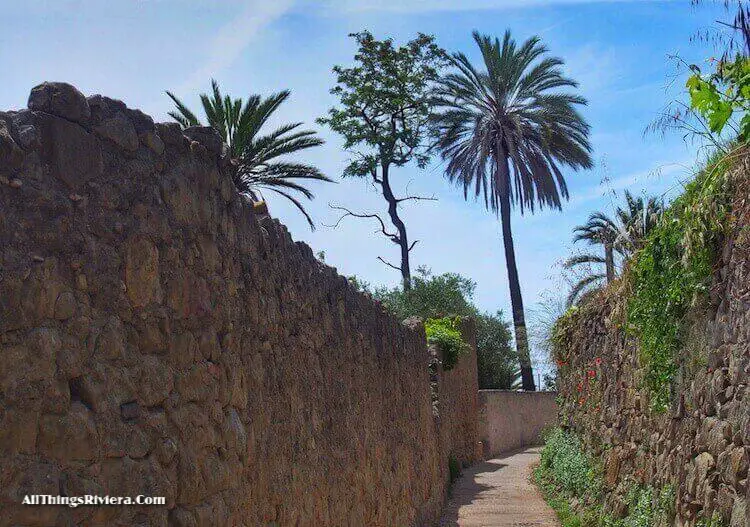 "the trail along the palm trees of Bordighera"