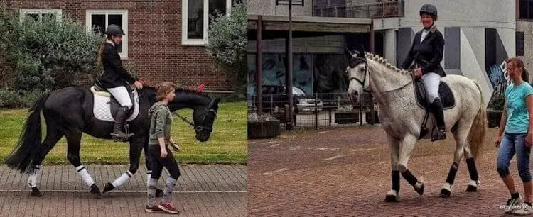 "Two Horses - Modern Sculpture in Public Spaces"