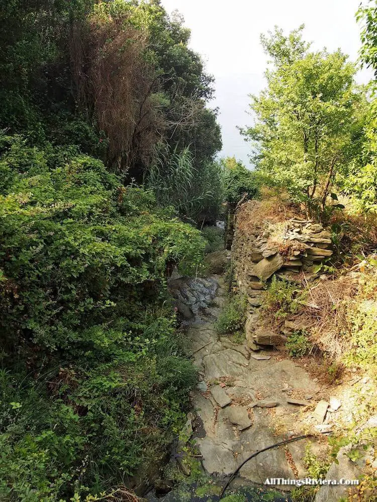 "steep trails - tips for Easy Hiking Experience in Cinque Terre"