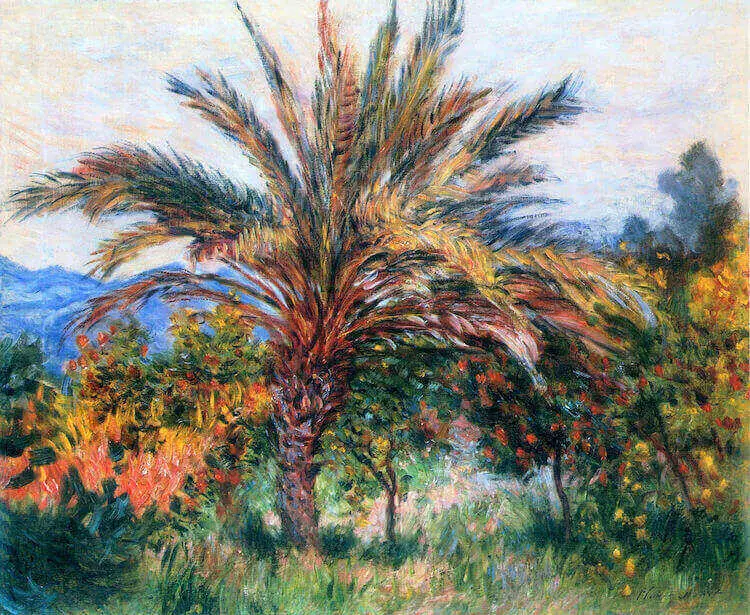 "Palm Trees of Bordighera as painted by Monet"