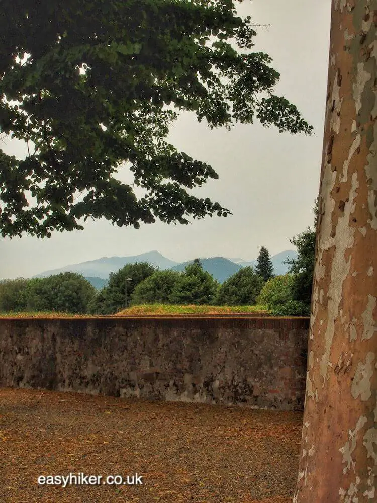 "views of countryside on a Walk Along the Lucca Wall"