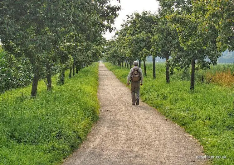 "fruit tree lined trail of one of the Lower Rhine Valley Hiking Routes"