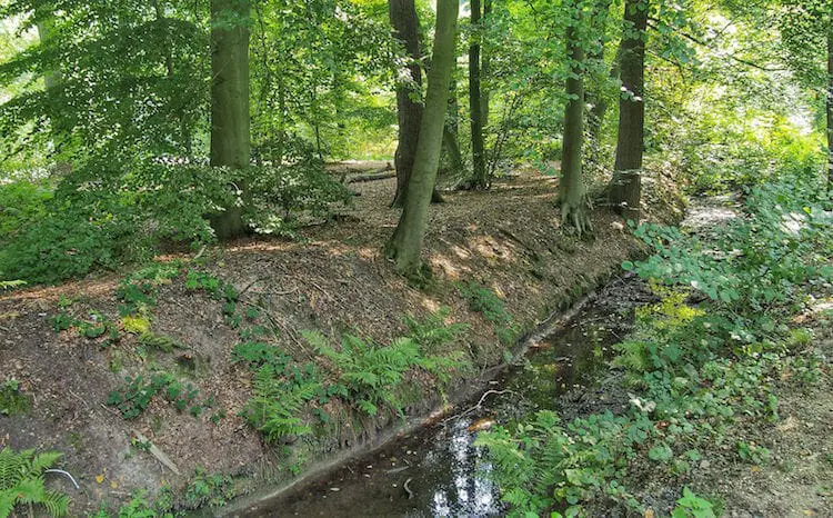 "Peat source along the Voltaire Trail"