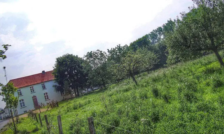 "Picturesque fruit orchard at start of the Voltaire Trail"