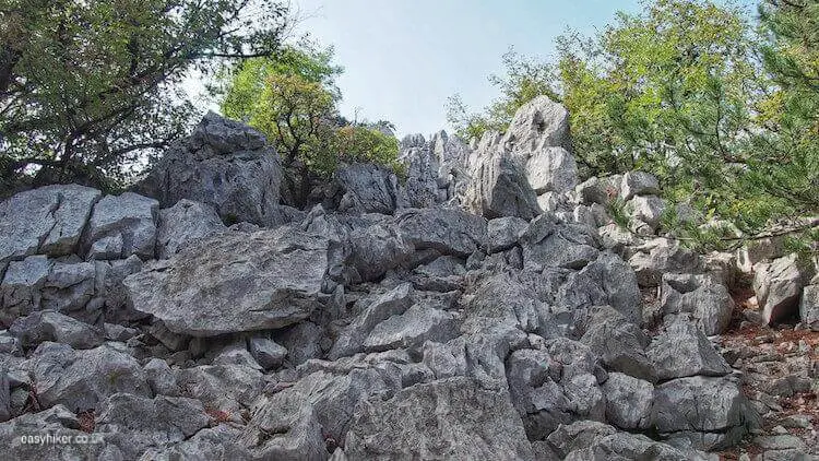 "stony cliffs - Walking with Rainer Maria Rilke in Trieste"