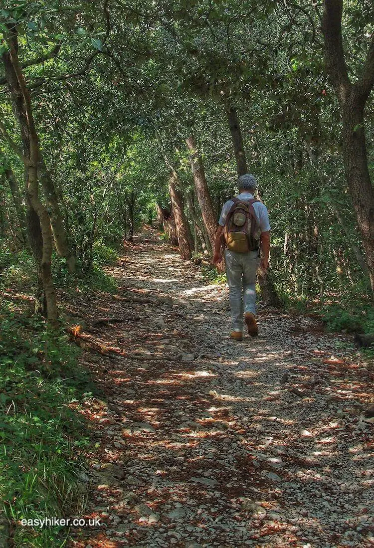 "into the forest when walking with Rainer Maria Rilke in Trieste"