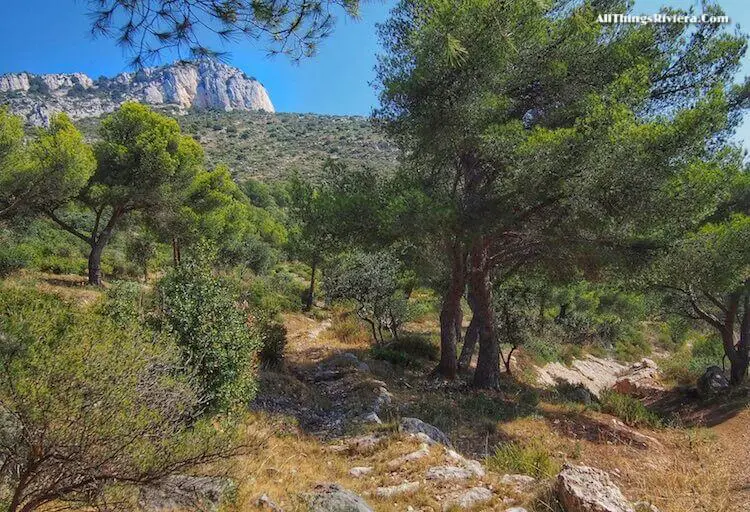 "challenge of a hike to summit of Tete de Chien"