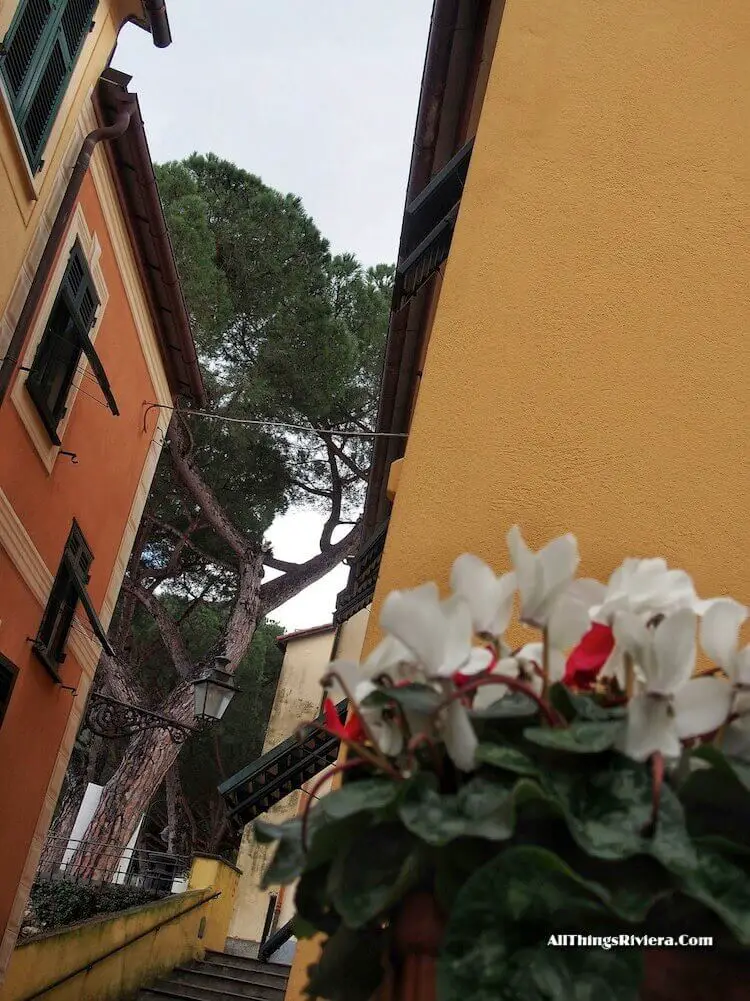 "San Rocco church in Camogli"