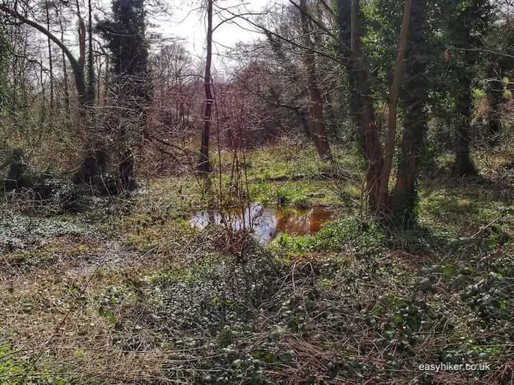 "Hampstead Heath - Finding George Michael"