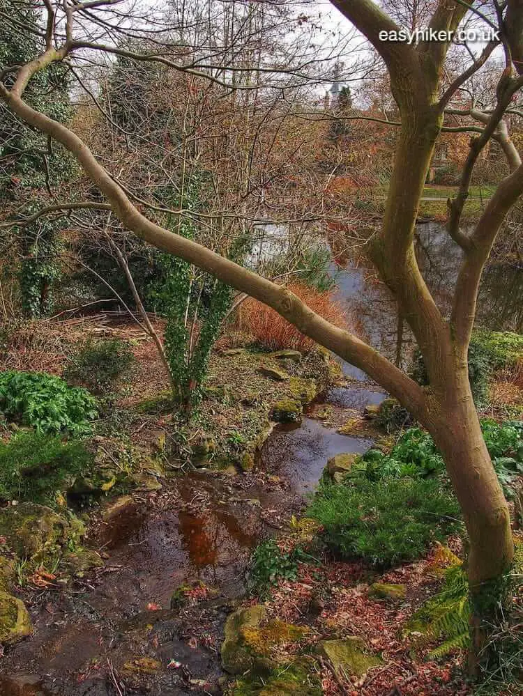 "Highgate park stream"