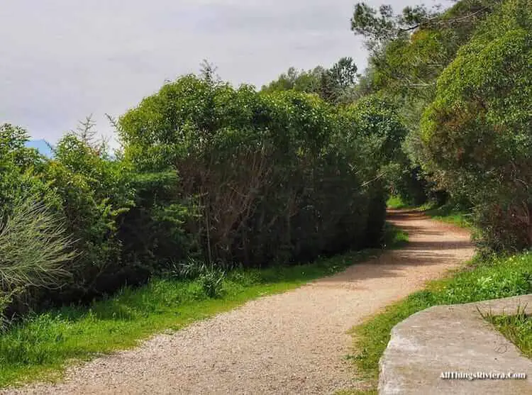 "continuation of trail when Hiking in Cannes"