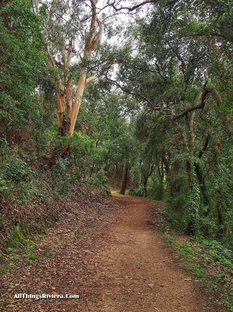 "Hiking in Cannes offers this flat countryside"