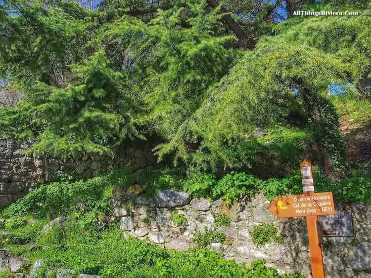 "trail on hiking the French Riviera mountains"