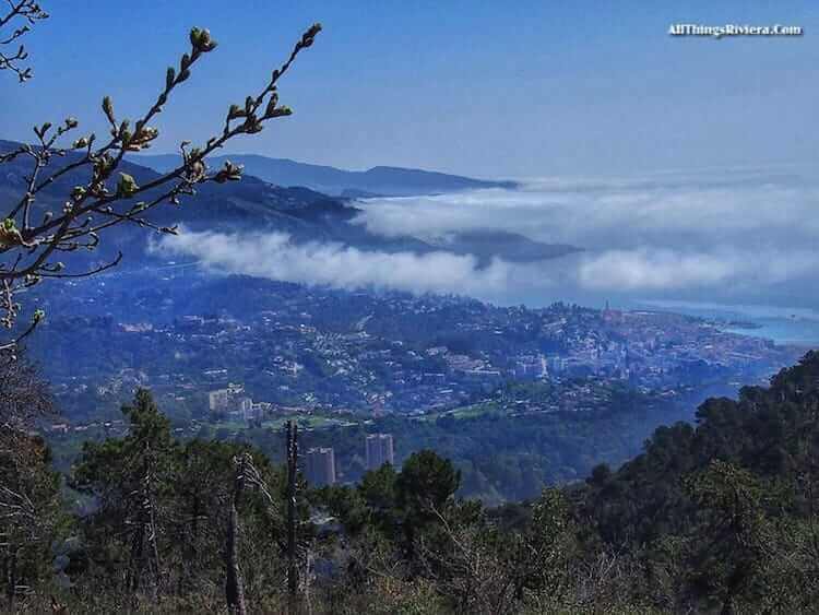 "entree maritime fog over Monaco"