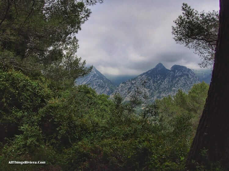 "alpine-like - Untouched Nature in the French Riviera"