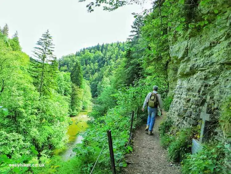 When Going Hiking Guard Against Tick Bites