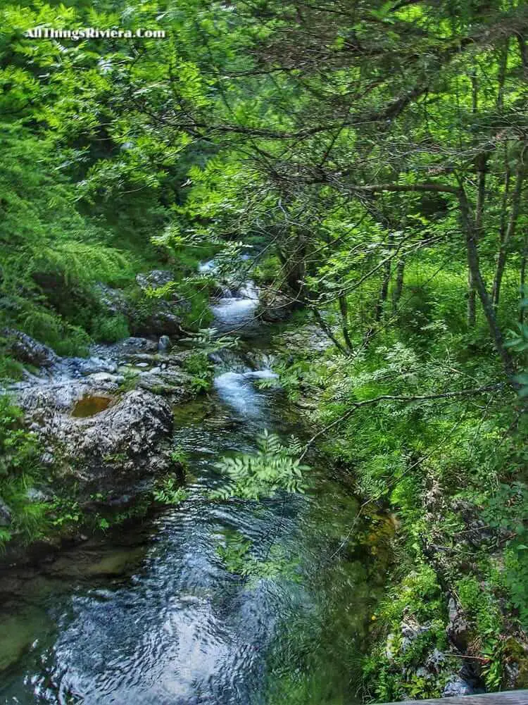 "streams along hiking trail - Mountain Village from Central Casting"