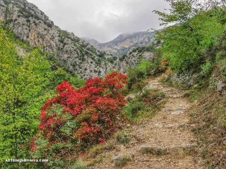 "Easy Scenic Hikes in the French Riviera"