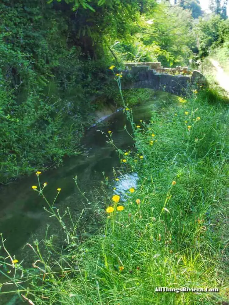 "scenic path along Canal de la Siagne"