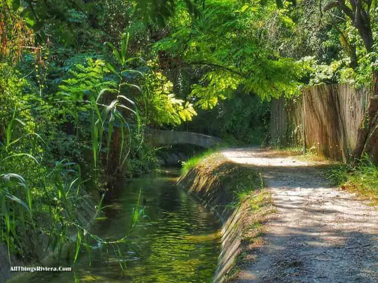 "tropical jungle along Canal de la Siagne?"