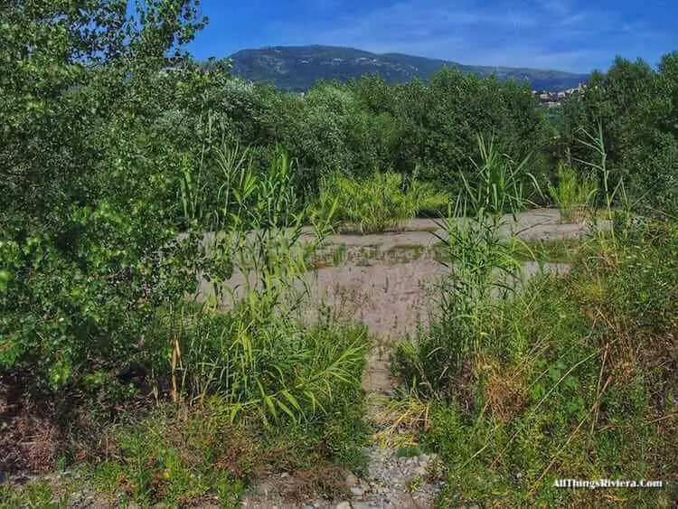 "more sandy parts of the river Var"