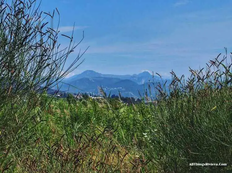 "peek of the alps along the River Var"