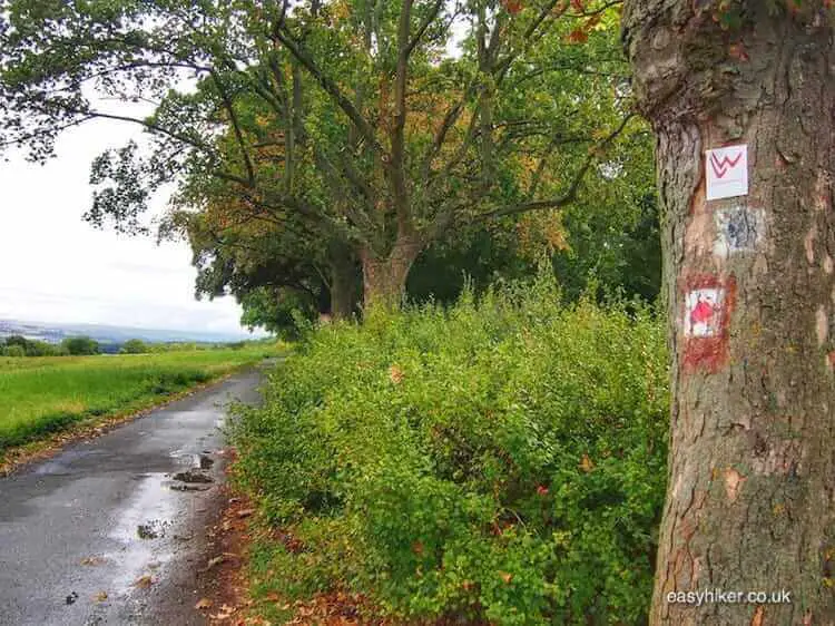 "long distance hiking trails markers along easy hike along the Goethe Trail"